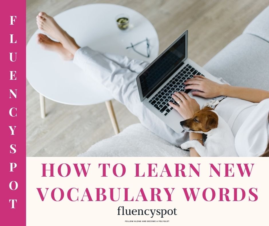 HOW TO LEARN NEW VOCABULARY WORDS